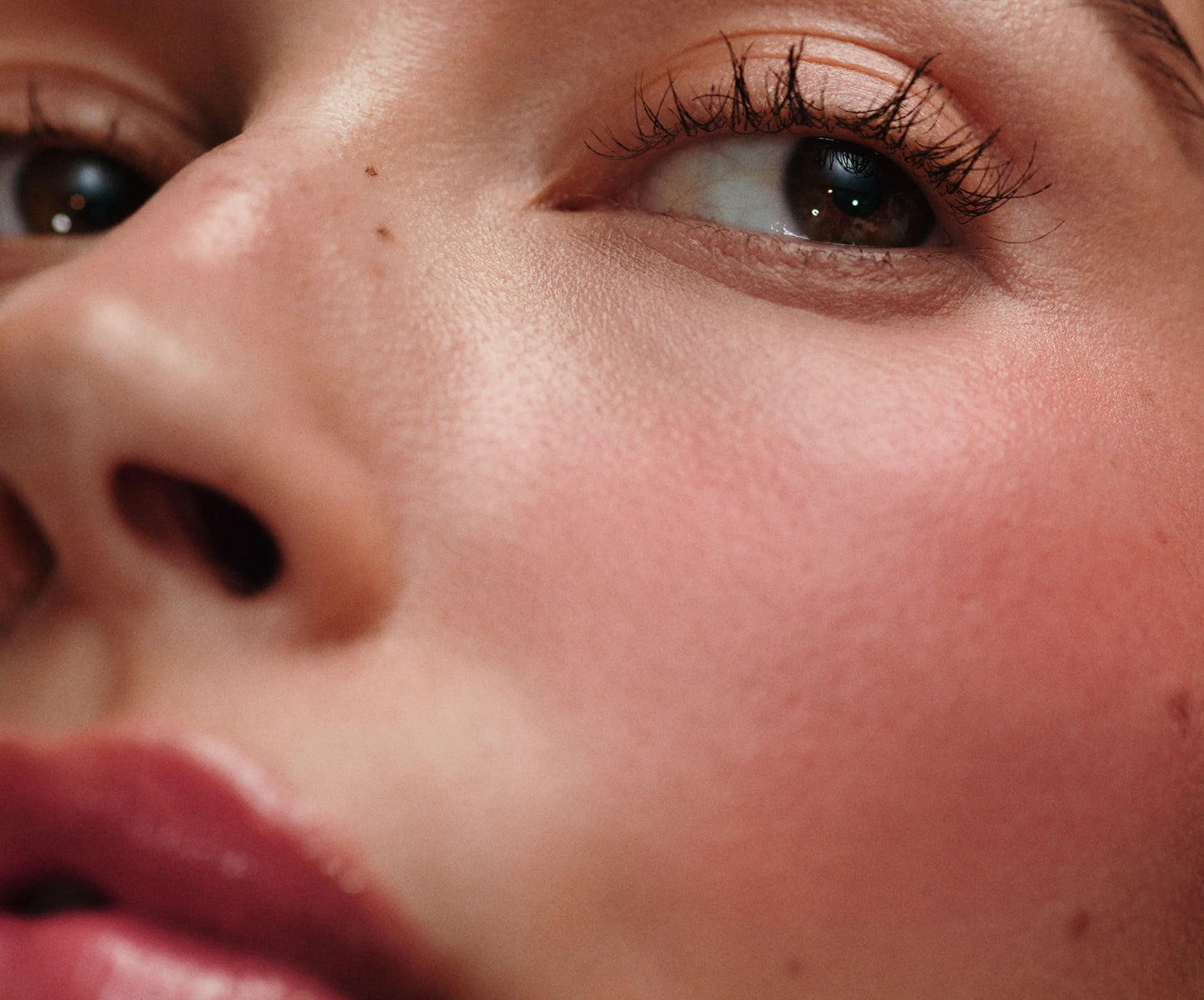 Pocket Blusher