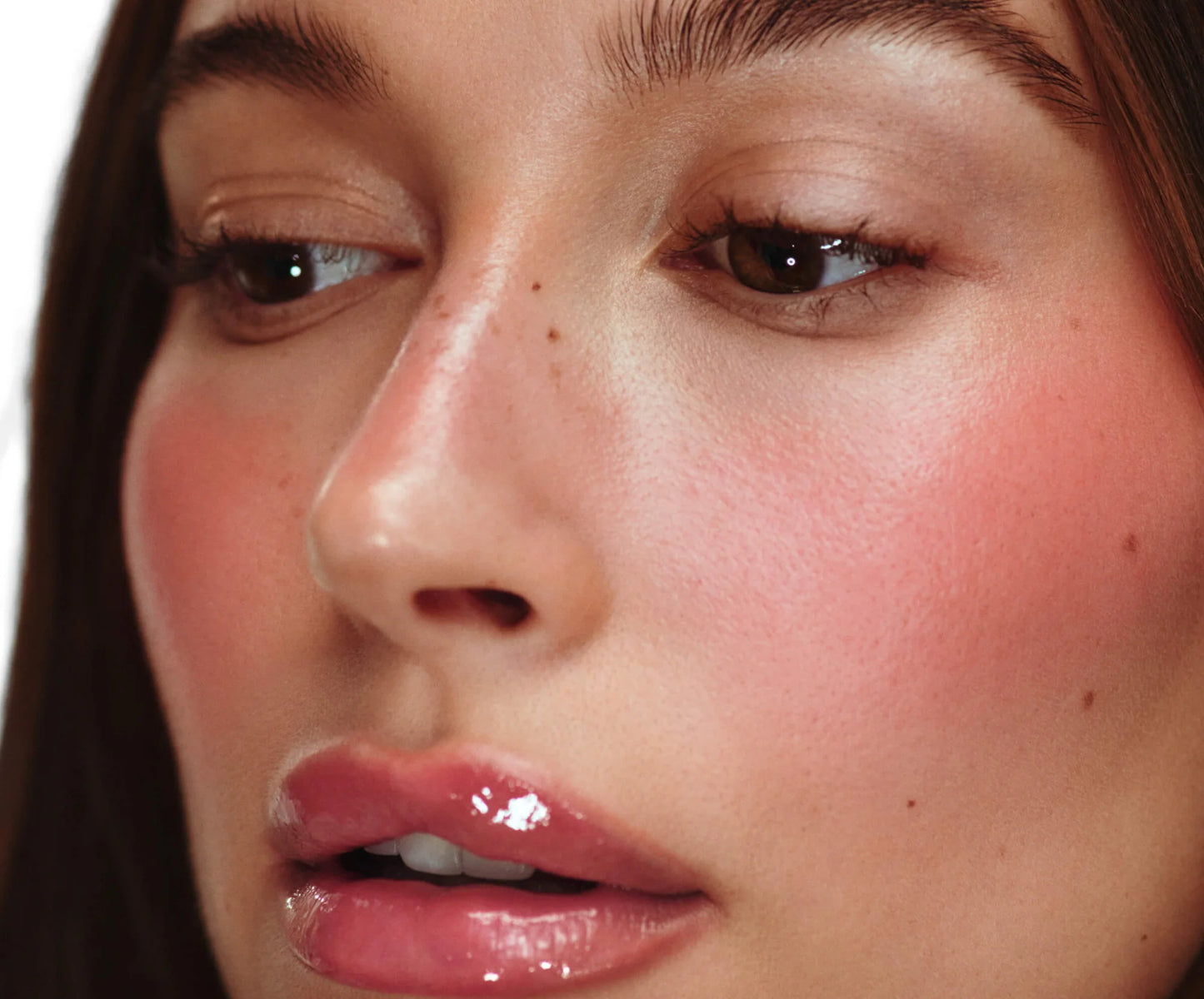 Pocket Blusher